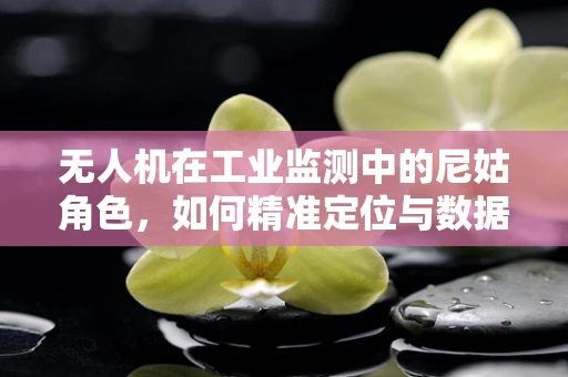 无人机在工业监测中的尼姑角色，如何精准定位与数据传输的平衡？