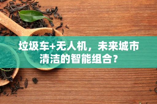 垃圾车+无人机，未来城市清洁的智能组合？