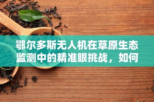 鄂尔多斯无人机在草原生态监测中的精准眼挑战，如何有效覆盖广袤区域？