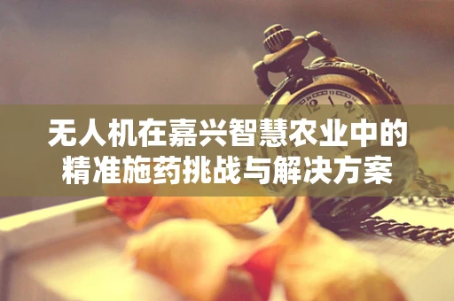 无人机在嘉兴智慧农业中的精准施药挑战与解决方案