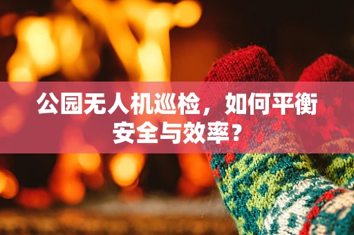 公园无人机巡检，如何平衡安全与效率？