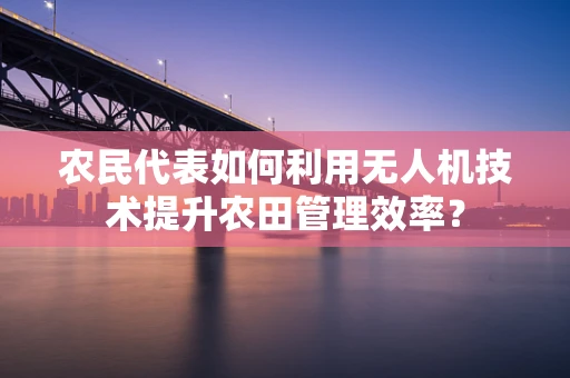 农民代表如何利用无人机技术提升农田管理效率？