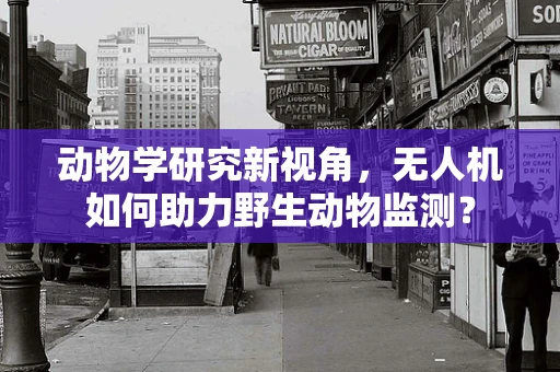 动物学研究新视角，无人机如何助力野生动物监测？