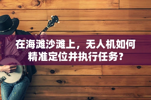 在海滩沙滩上，无人机如何精准定位并执行任务？