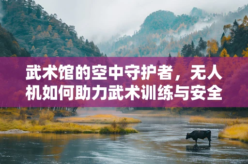 武术馆的空中守护者，无人机如何助力武术训练与安全？