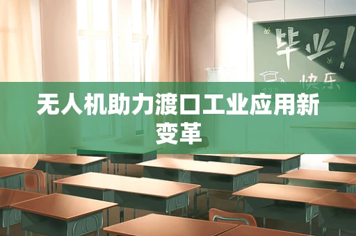 无人机助力渡口工业应用新变革