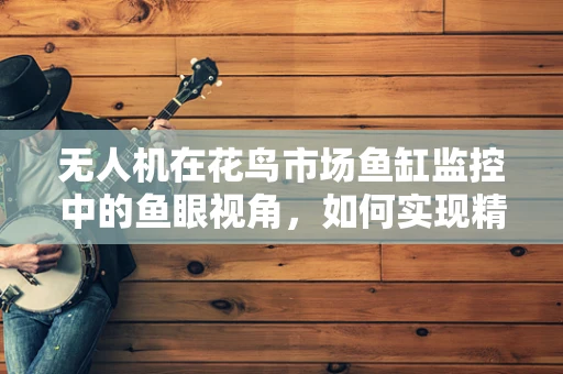 无人机在花鸟市场鱼缸监控中的鱼眼视角，如何实现精准监控与智能管理？