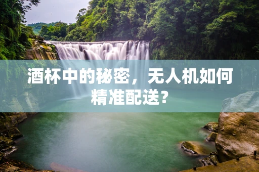 酒杯中的秘密，无人机如何精准配送？
