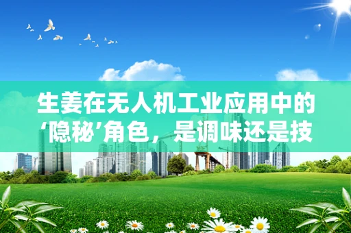 生姜在无人机工业应用中的‘隐秘’角色，是调味还是技术革新？
