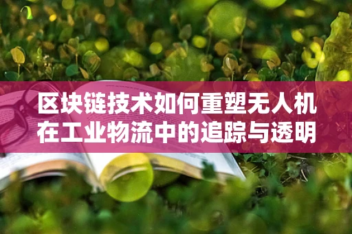 区块链技术如何重塑无人机在工业物流中的追踪与透明度？