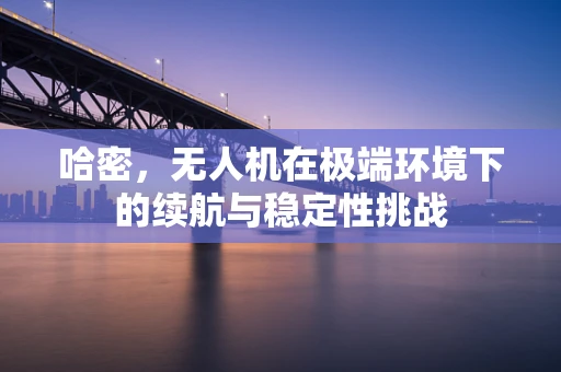 哈密，无人机在极端环境下的续航与稳定性挑战