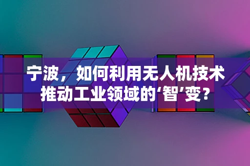 宁波，如何利用无人机技术推动工业领域的‘智’变？