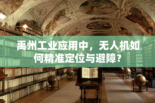 禹州工业应用中，无人机如何精准定位与避障？