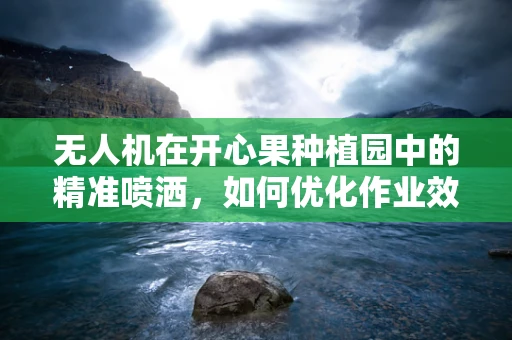 无人机在开心果种植园中的精准喷洒，如何优化作业效率与成本控制？
