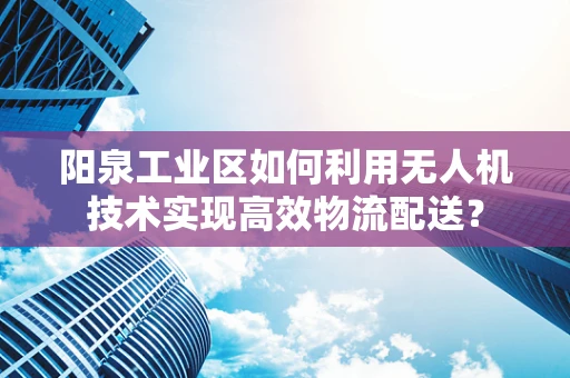 阳泉工业区如何利用无人机技术实现高效物流配送？