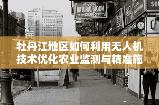 牡丹江地区如何利用无人机技术优化农业监测与精准施策？