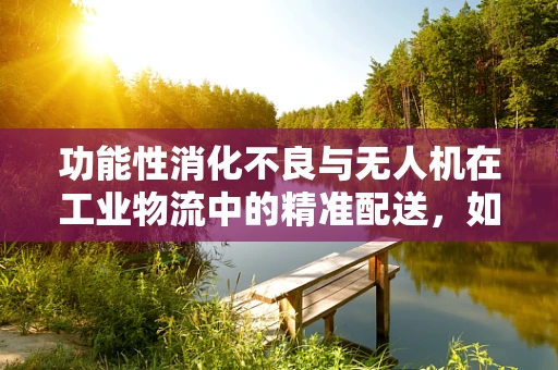 功能性消化不良与无人机在工业物流中的精准配送，如何平衡效率与健康？