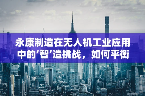 永康制造在无人机工业应用中的‘智’造挑战，如何平衡成本与技术创新？