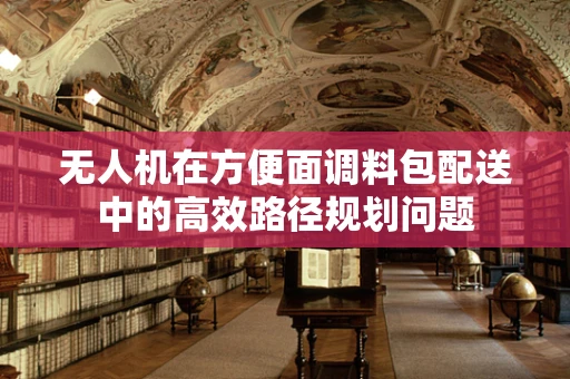 无人机在方便面调料包配送中的高效路径规划问题