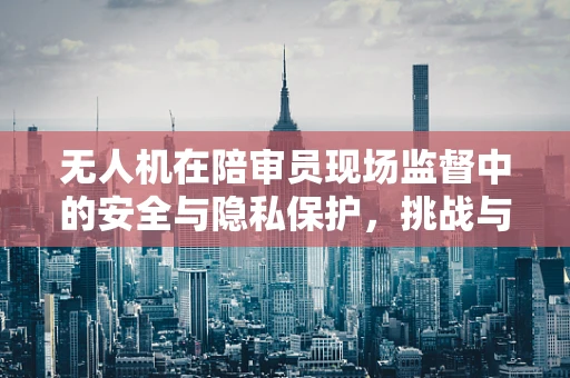 无人机在陪审员现场监督中的安全与隐私保护，挑战与解决方案