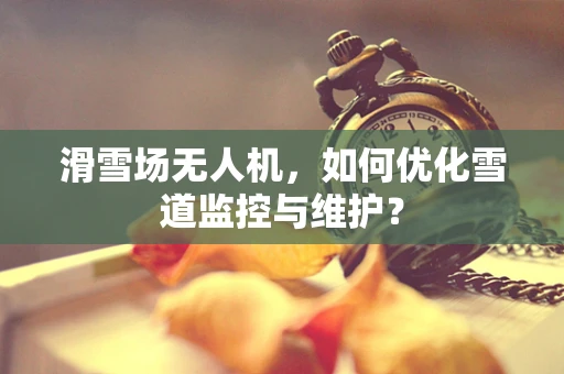 滑雪场无人机，如何优化雪道监控与维护？