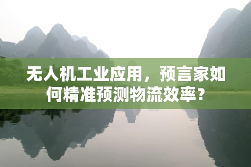 无人机工业应用，预言家如何精准预测物流效率？