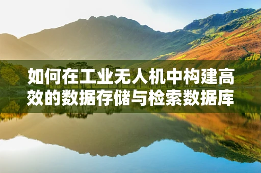 如何在工业无人机中构建高效的数据存储与检索数据库？