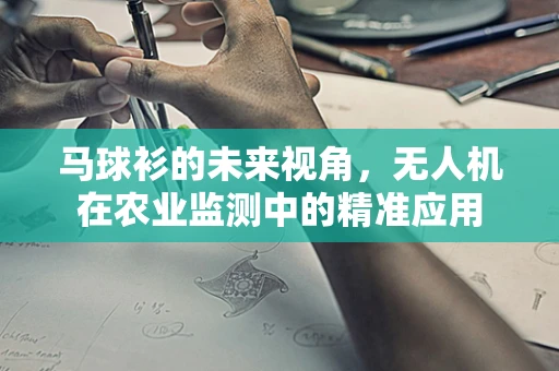马球衫的未来视角，无人机在农业监测中的精准应用