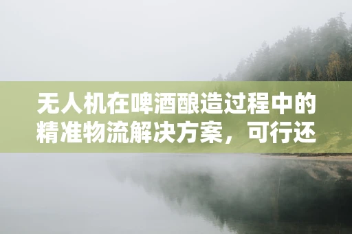 无人机在啤酒酿造过程中的精准物流解决方案，可行还是挑战？