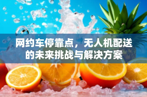网约车停靠点，无人机配送的未来挑战与解决方案