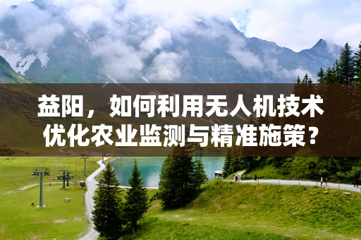 益阳，如何利用无人机技术优化农业监测与精准施策？
