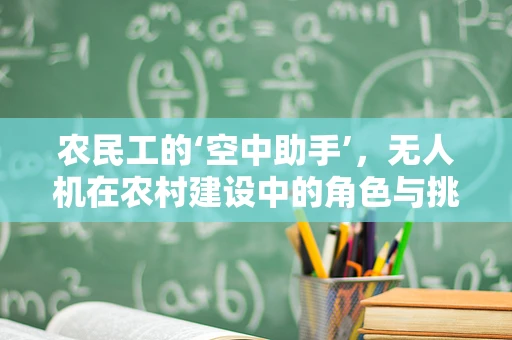 农民工的‘空中助手’，无人机在农村建设中的角色与挑战
