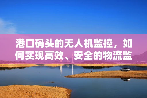 港口码头的无人机监控，如何实现高效、安全的物流监管？