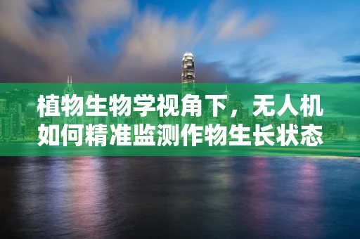植物生物学视角下，无人机如何精准监测作物生长状态？