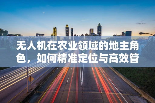无人机在农业领域的地主角色，如何精准定位与高效管理？