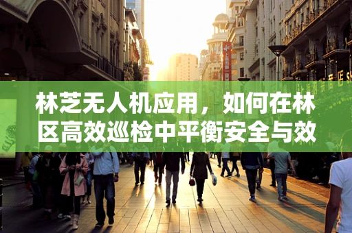林芝无人机应用，如何在林区高效巡检中平衡安全与效率？