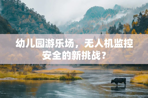 幼儿园游乐场，无人机监控安全的新挑战？