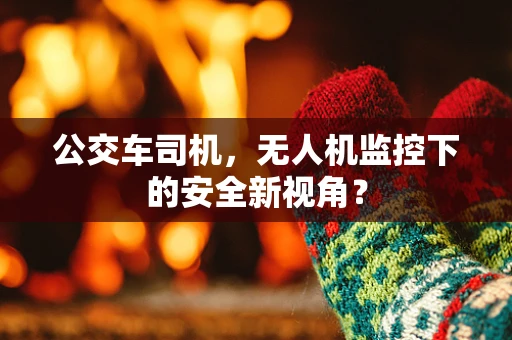 公交车司机，无人机监控下的安全新视角？