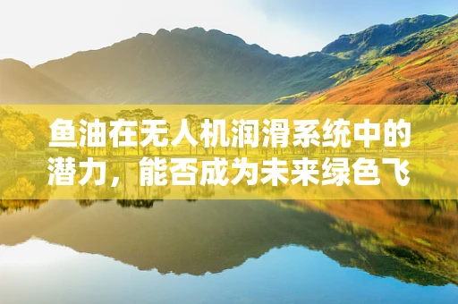 鱼油在无人机润滑系统中的潜力，能否成为未来绿色飞行的关键？
