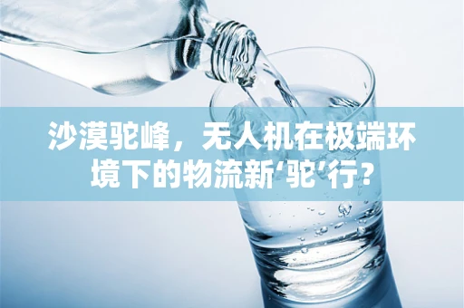 沙漠驼峰，无人机在极端环境下的物流新‘驼’行？