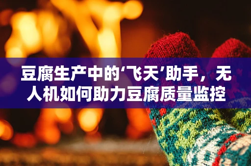 豆腐生产中的‘飞天’助手，无人机如何助力豆腐质量监控？