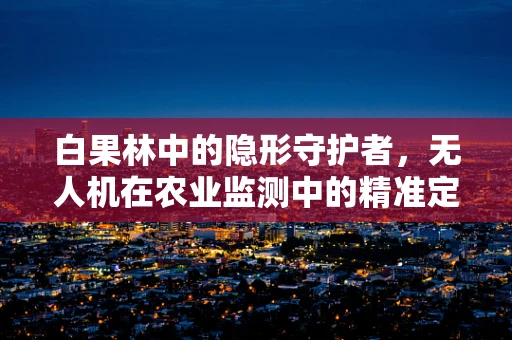 白果林中的隐形守护者，无人机在农业监测中的精准定位挑战