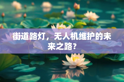 街道路灯，无人机维护的未来之路？