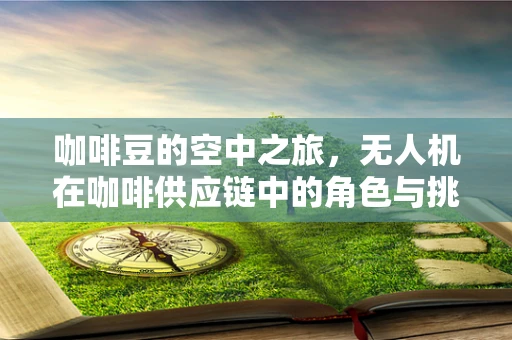 咖啡豆的空中之旅，无人机在咖啡供应链中的角色与挑战？