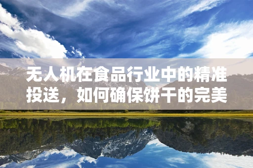 无人机在食品行业中的精准投送，如何确保饼干的完美送达？