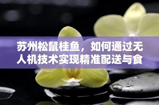 苏州松鼠桂鱼，如何通过无人机技术实现精准配送与食品安全监控？