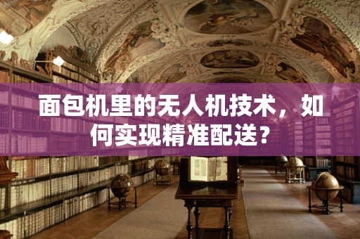 面包机里的无人机技术，如何实现精准配送？