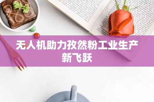 无人机助力孜然粉工业生产新飞跃