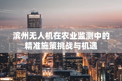 滨州无人机在农业监测中的精准施策挑战与机遇