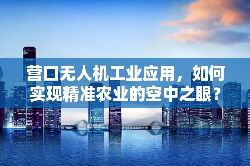 营口无人机工业应用，如何实现精准农业的空中之眼？